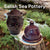 Butter Bell, Garlic Pot and Soap Dish by Salish Sea Pottery