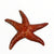 Raku Sea Star Wall Hangers