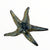 Raku Sea Star Wall Hangers