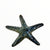 Raku Sea Star Wall Hangers