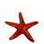 Raku Sea Star Wall Hangers