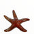 Raku Sea Star Wall Hangers