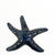 Raku Sea Star Wall Hangers